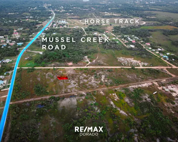 Mussel Creek Road #LOT #7, Burrell Boom Village, District