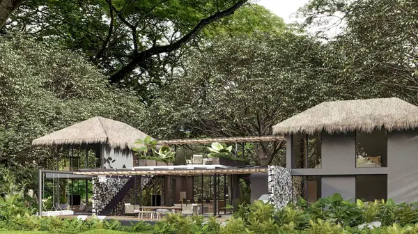 Playa Panama #The Mangrove Collection, Costa Rica,