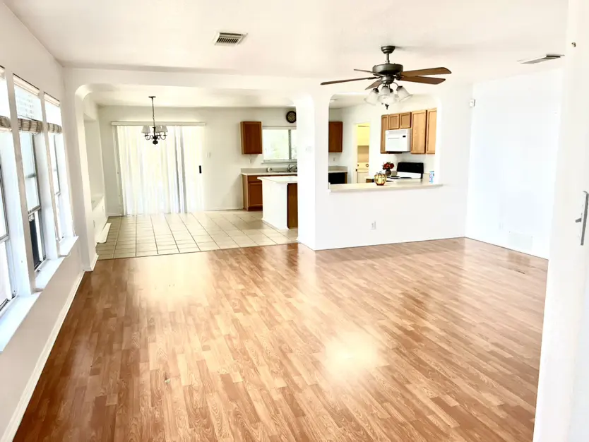Dwarf Palm, San Antonio, TX 78218-6066