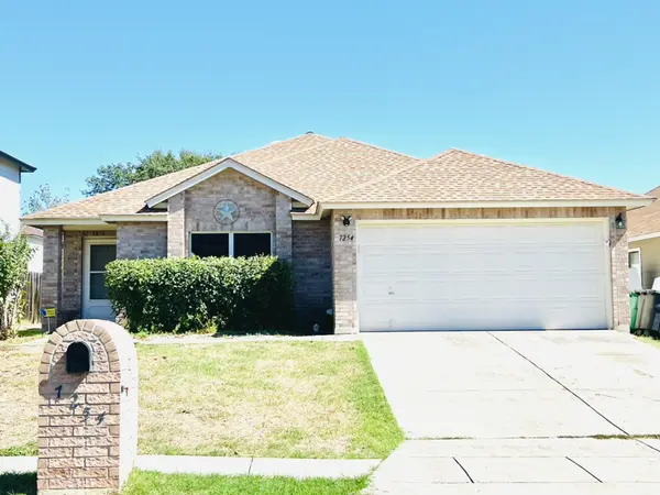 Dwarf Palm, San Antonio, TX 78218-6066