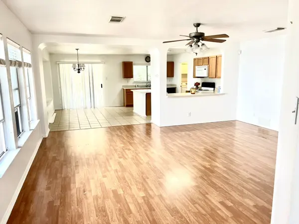 Dwarf Palm, San Antonio, TX 78218-6066