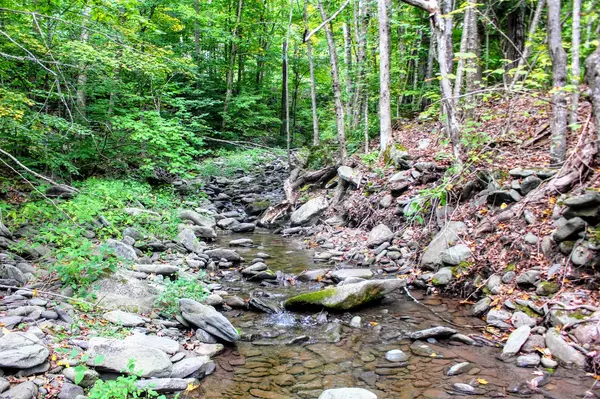 8444 Route 23A, Hunter, NY 12442