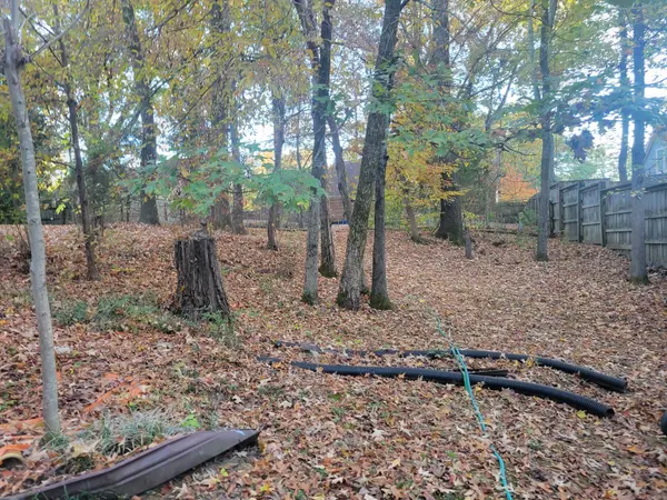 164 Ericson Rd, Cordova, TN 38018
