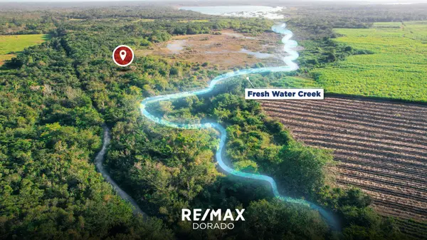 38 Acres Farmland, Miller's Bight Orange Walk,