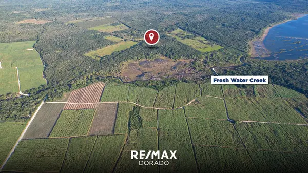 38 Acres Farmland, Miller's Bight Orange Walk,