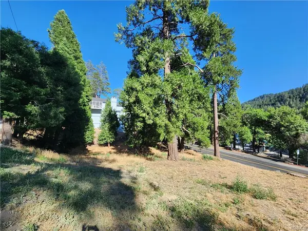 Zurich Dr, Crestline, CA 92325