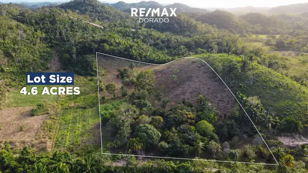 4+ Acre farm land- Melvin Hulse Road, Belmopan City Belize,