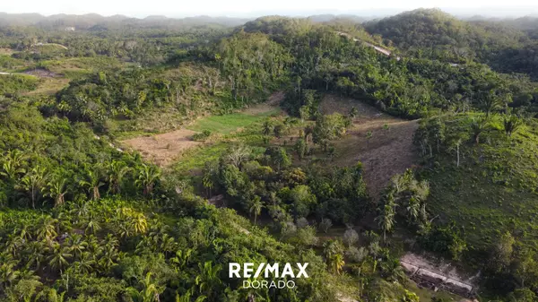 Belmopan City Belize,,4+ Acre farm land- Melvin Hulse Road