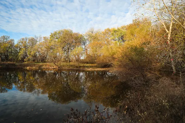 Louisburg, KS 66053,25718 Mission Belleview Rd