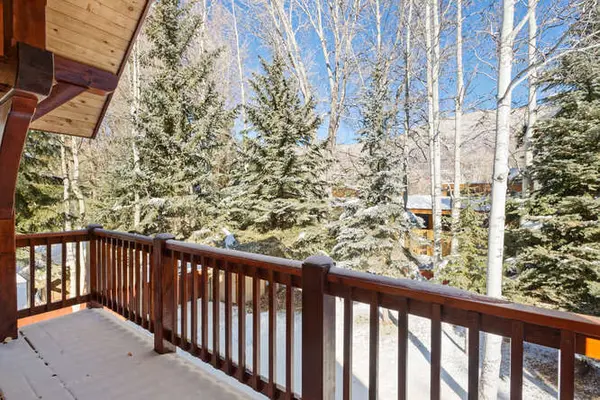 824 Bonita Dr, Aspen, CO 81611