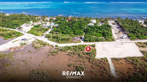 Ambergris Caye,,0.5 Acre Roadside Lot