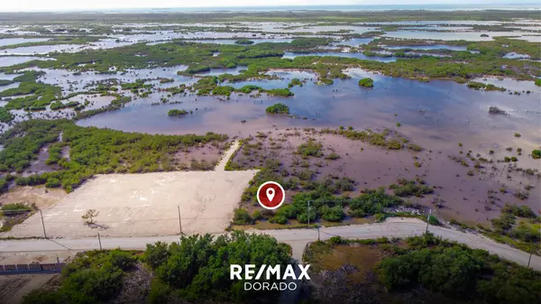 0.5 Acre Roadside Lot, Ambergris Caye,