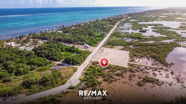 Ambergris Caye,,0.5 Acre Roadside Lot