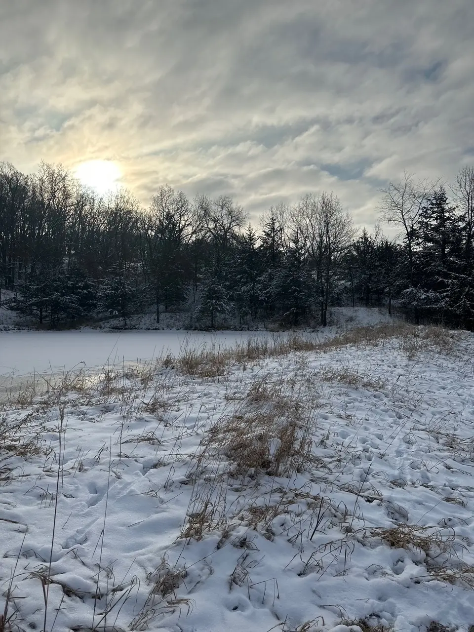 265th St, St Charles, IA 50240