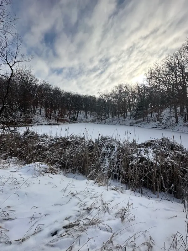 265th St, St Charles, IA 50240