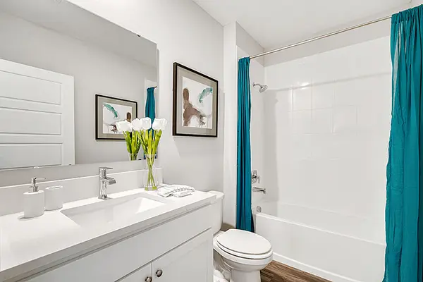 388 Talisi Loop, St Cloud, FL 34771