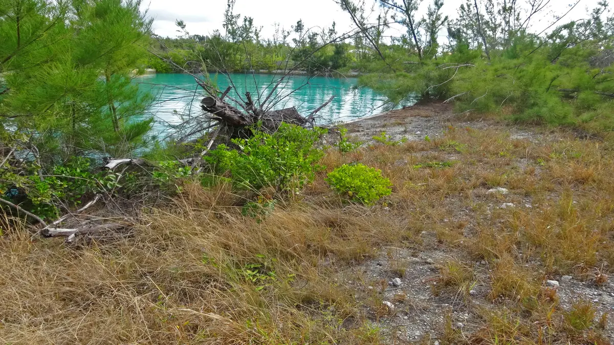 Lot 3 Bayview Court, Bahamia West,