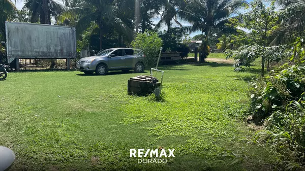 Dangriga Town,,Sarawee