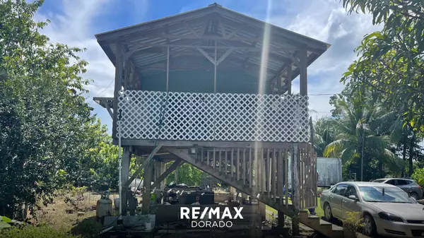 Dangriga Town,,Sarawee