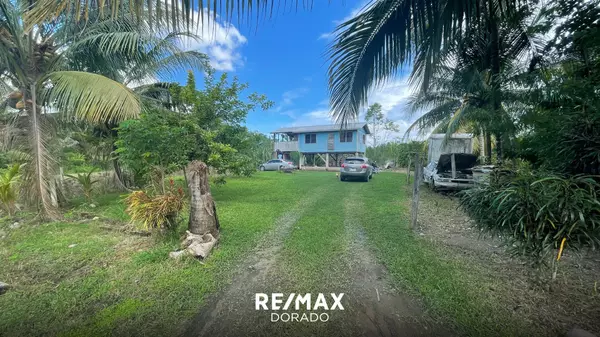 Dangriga Town,,Sarawee