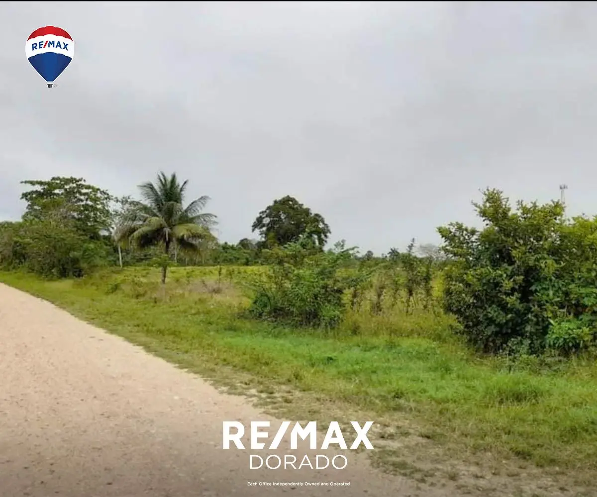 Unitedville Cayo District