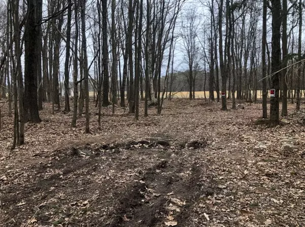 Pocono Summit, PA 18346,Deer Path Ln