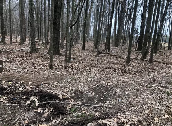 Pocono Summit, PA 18346,Deer Path Ln