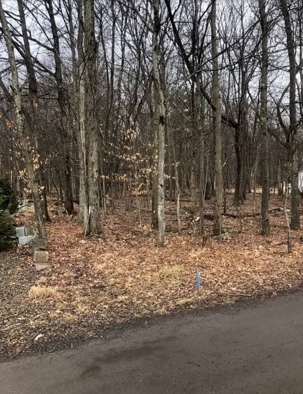 Deer Path Ln 7 Pocono Summit, Pa 18346,