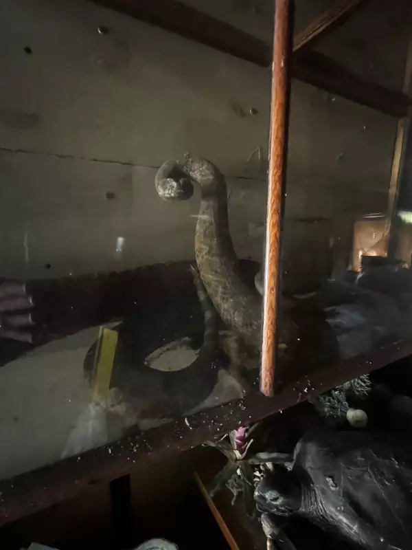 19241 Mountain Way Los Gatos, CA 95030