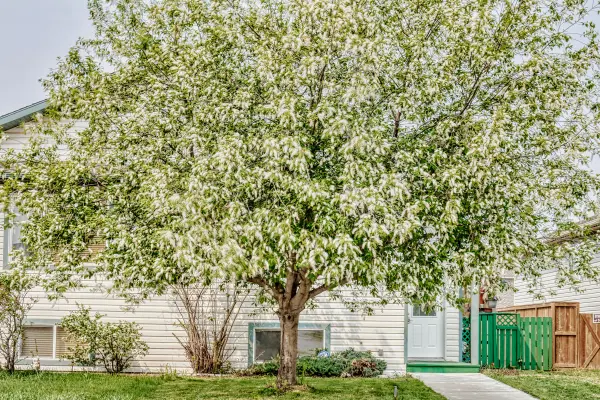 8 Westlake Gln, Strathmore, AB T1P 1W8