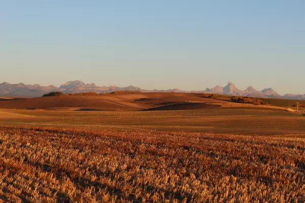 Drummond, ID 83420,4133 Mountain Shadows Ln