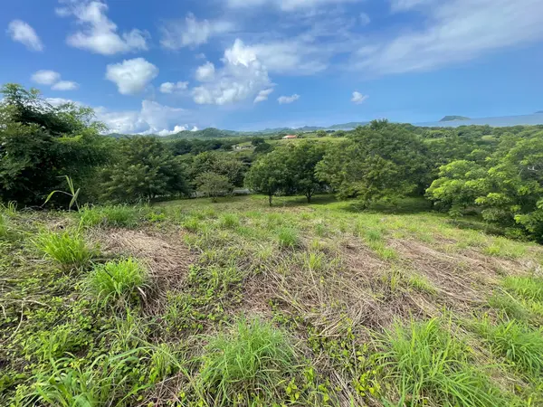 Stunning Bahia Salinas View Lot