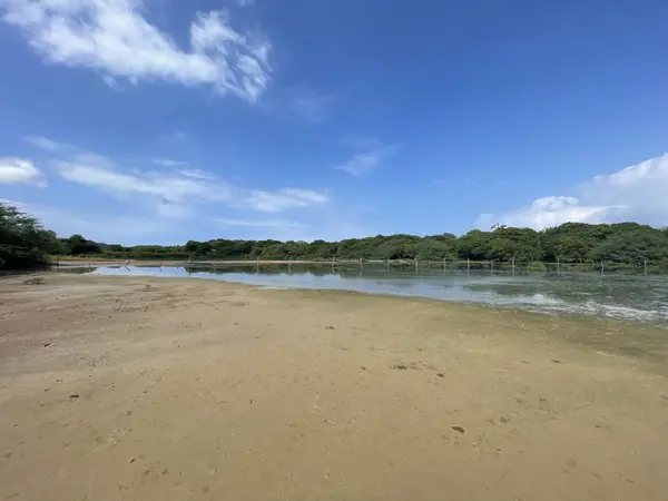 Stunning Bahia Salinas View Lot