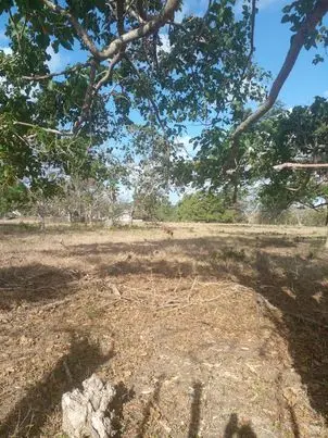 Punta Cana