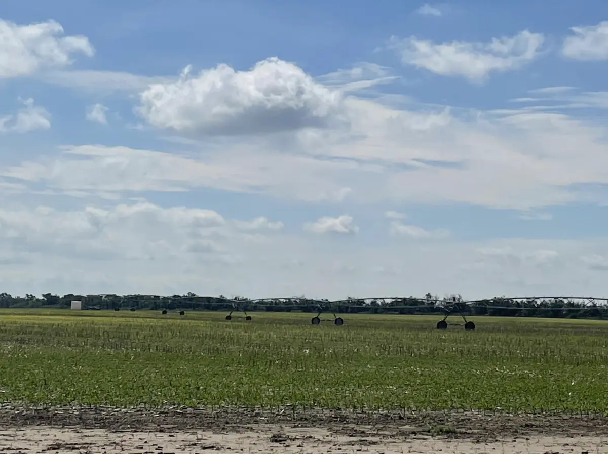 Chase County Irrigated Quarter Section, Imperial, NE