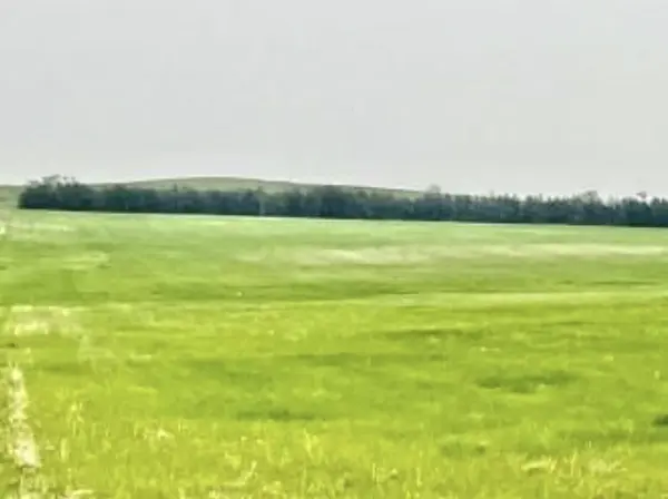 Sheridan County Farm Parcel 1