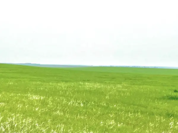 Sheridan County Farm Parcel 1