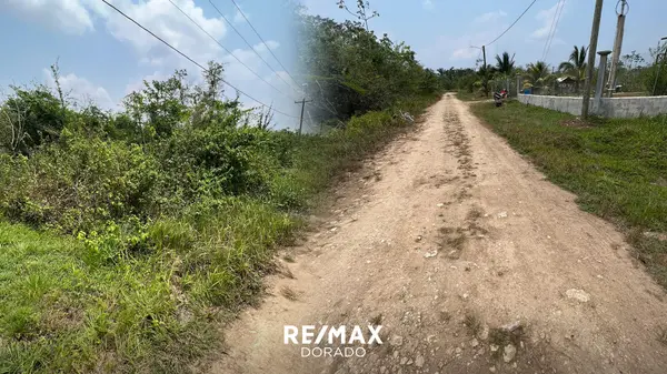 Nemo Drive (110ft x 110ft), Belmopan City,