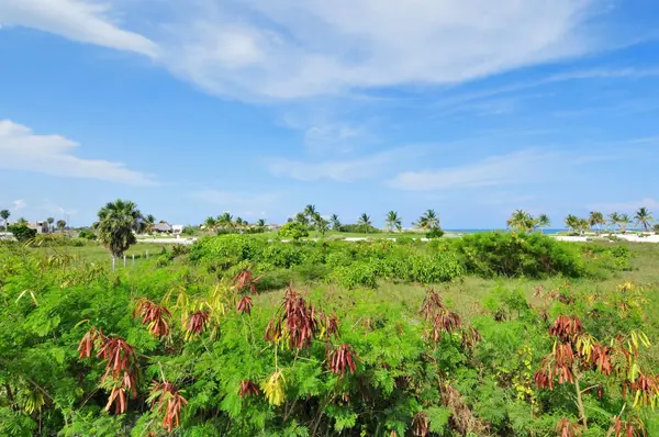Cap Cana