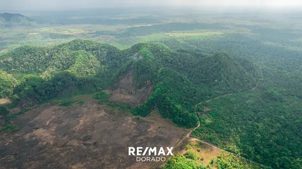 Lush 50 Acre Farmland in the Armado Hill, Toledo District,