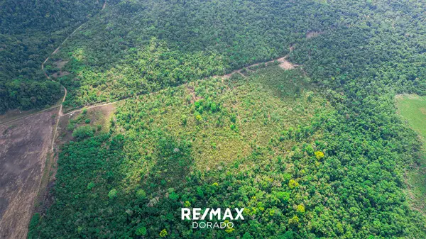 Lush 50 Acre Farmland in the Armado Hill, Toledo District,