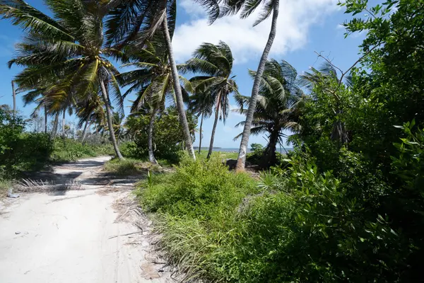10.5 Miles North Habaneros San Pedro Ambergris Caye, Belize,