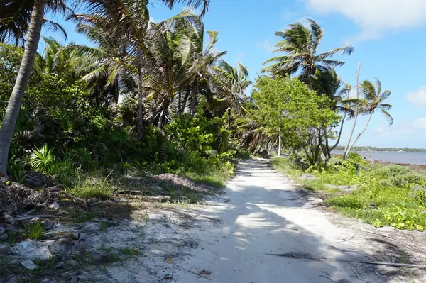 10.5 Miles North Habaneros San Pedro Ambergris Caye, Belize,