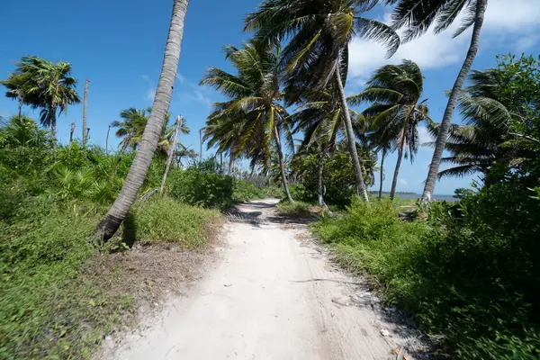 10.5 Miles North Habaneros San Pedro Ambergris Caye, Belize,