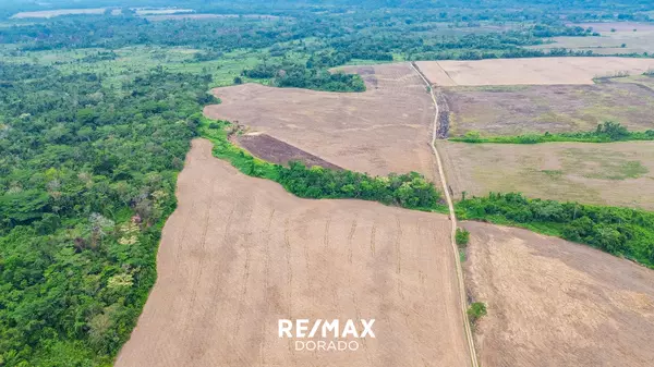 Toledo District,,Mafredi Village