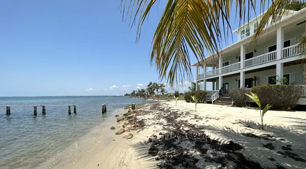 Placencia