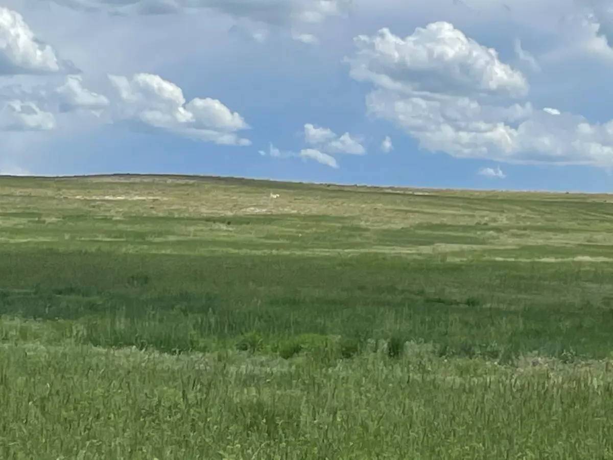Bushnell, NE 69128,31-13-58 N1/2 31-13-58