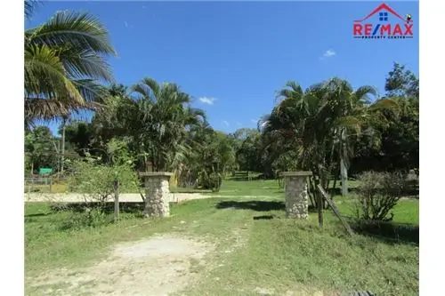 Bullet Tree Falls, Cayo District Belize,