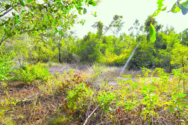 Mile 3.5 George Price Highway, Belize City,