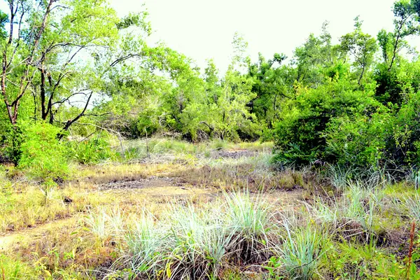 Mile 3.5 George Price Highway, Belize City,